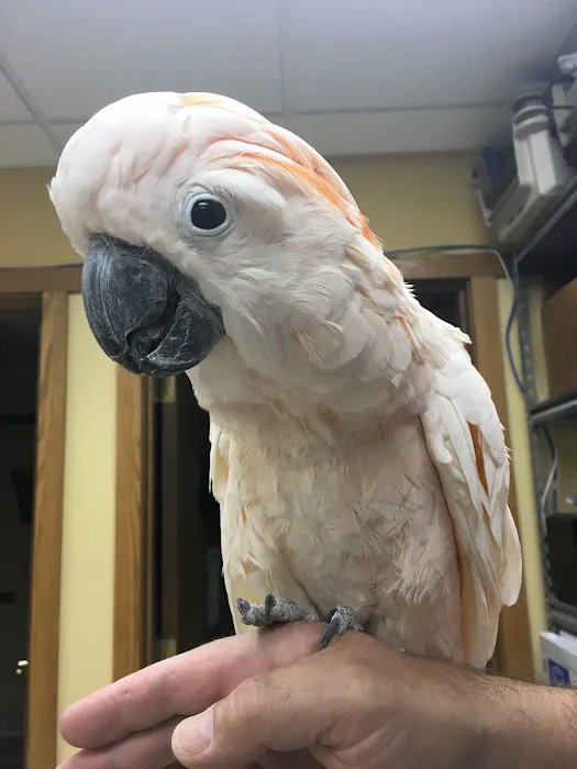 Elk Grove Pet Clinic 3