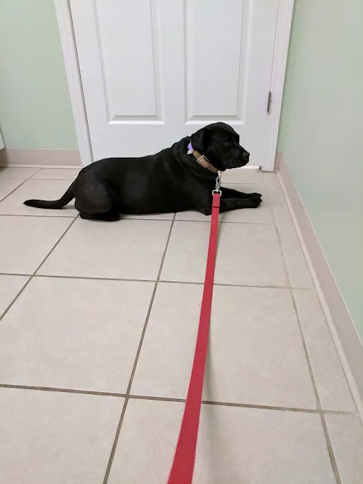 Gilmer Road Animal Hospital 1