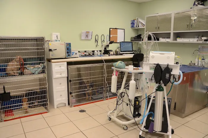 Gilmer Road Animal Hospital 10