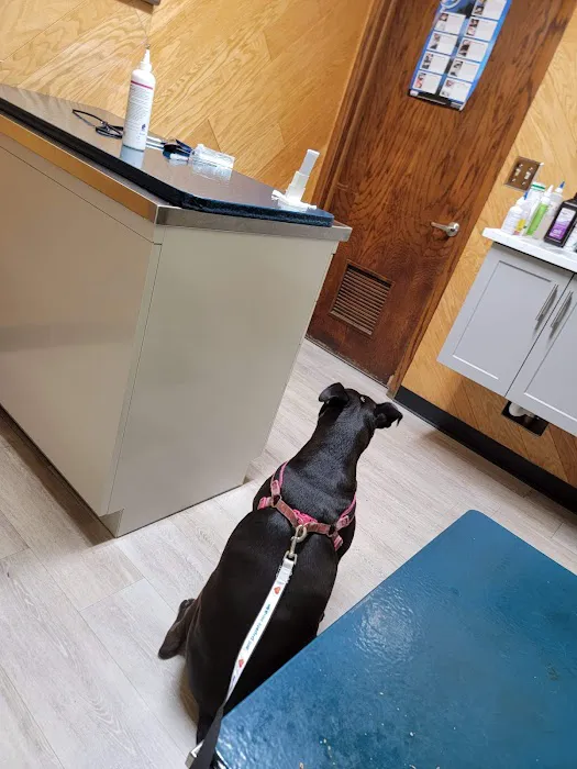 Glen Oak Dog & Cat Hospital 12