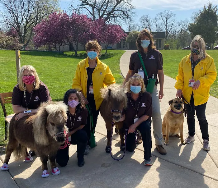 SOUL Harbour Ranch Animal Therapy Program 12