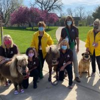 SOUL Harbour Ranch Animal Therapy Program ico
