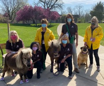 SOUL Harbour Ranch Animal Therapy Program