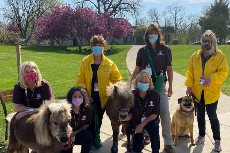 SOUL Harbour Ranch Animal Therapy Program