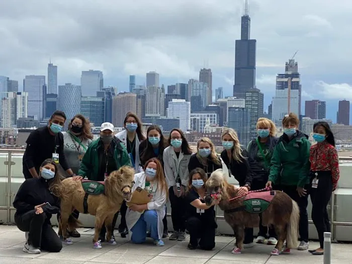 SOUL Harbour Ranch Animal Therapy Program 12