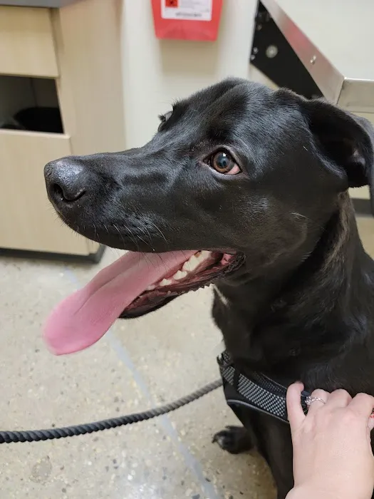 Vetco Total Care Animal Hospital 4