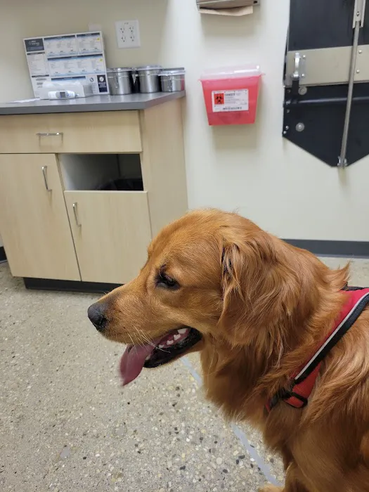 Vetco Total Care Animal Hospital 2