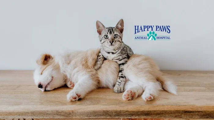 Happy Paws Animal Hospital Lake Zurich IL 12