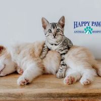 Happy Paws Animal Hospital Lake Zurich IL ico