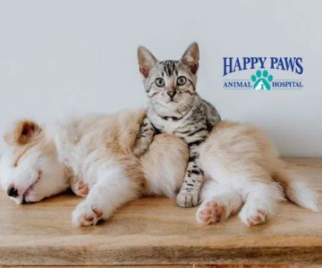 Happy Paws Animal Hospital Lake Zurich IL