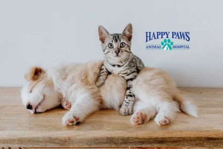 Happy Paws Animal Hospital Lake Zurich IL