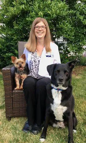 VCA Noyes Animal Hospital 7