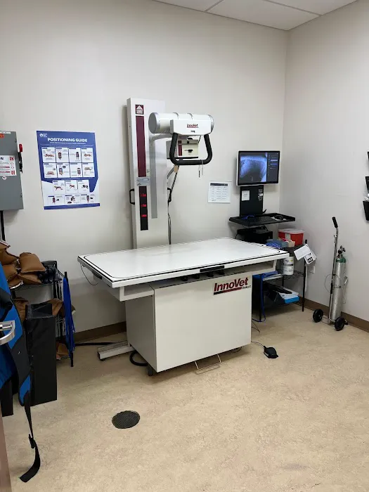 VCA Noyes Animal Hospital 9