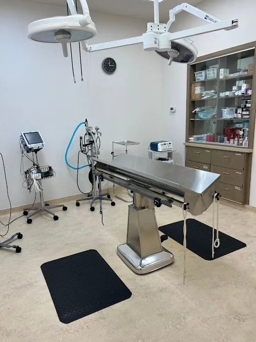 VCA Noyes Animal Hospital 2