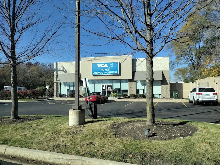 VCA Noyes Animal Hospital 6