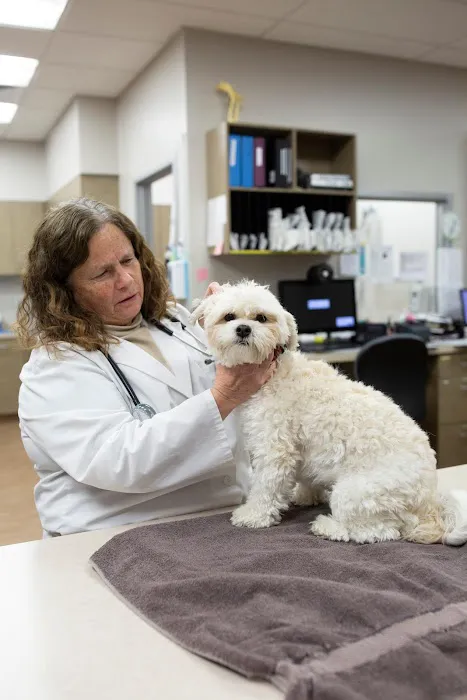 VCA Noyes Animal Hospital 8
