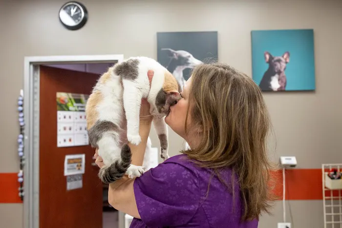 VCA Noyes Animal Hospital 5
