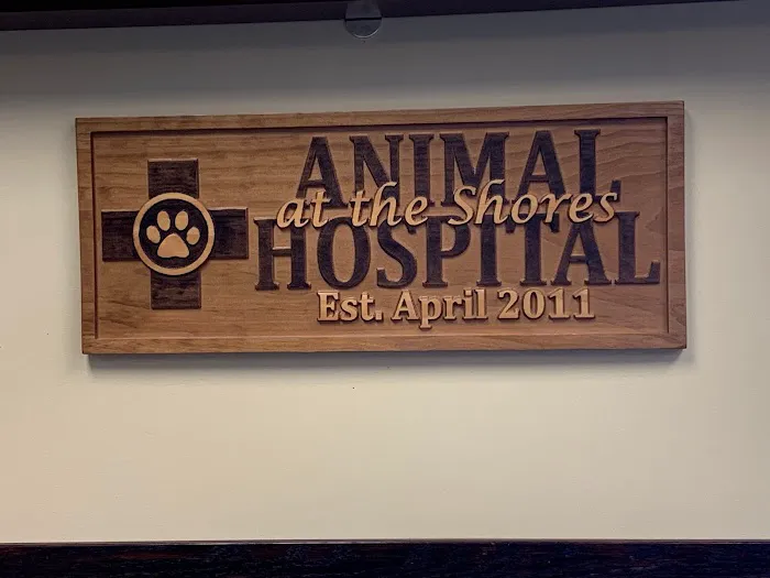 Animal Hospital At The Shores 4