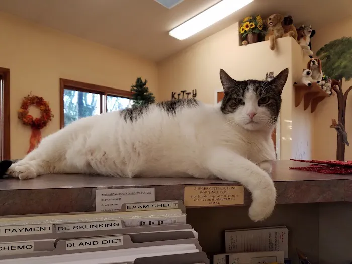 All Creatures Animal Hospital 7