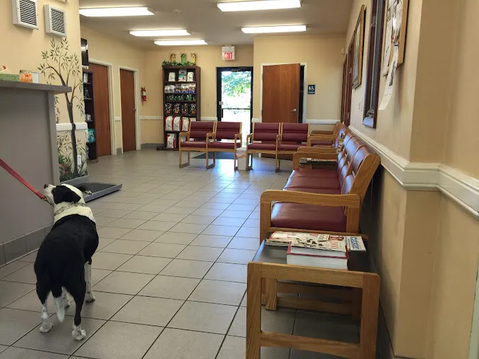All Creatures Animal Hospital 9