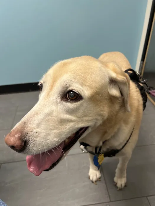 Banfield Pet Hospital 12