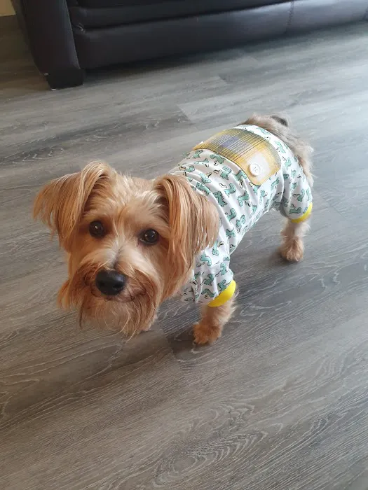 Banfield Pet Hospital 5