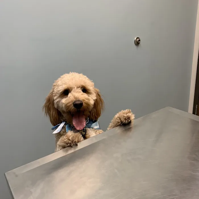 Morton Grove Animal Hospital 9