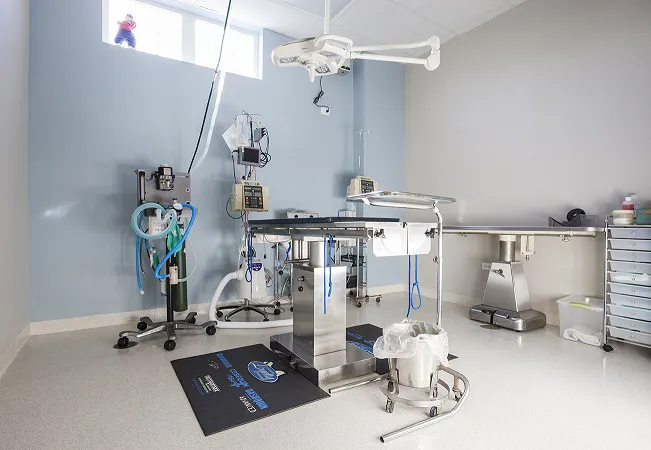 Morton Grove Animal Hospital 4