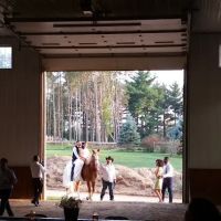 Prairie Equine Veterinary ico