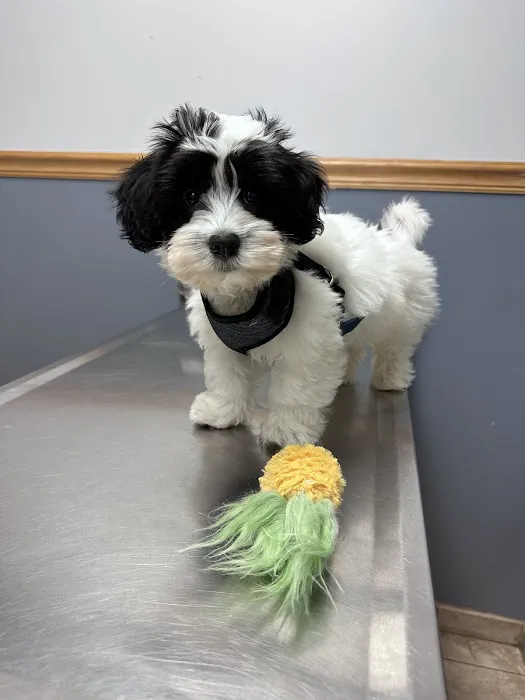 Christensen Animal Hospital 12