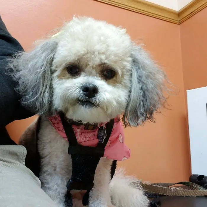 Christensen Animal Hospital 12