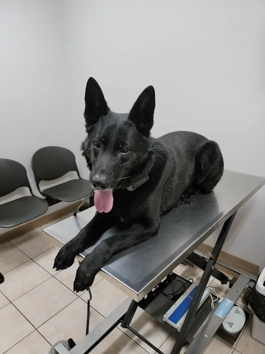 Northwoods Pet Care Center 4