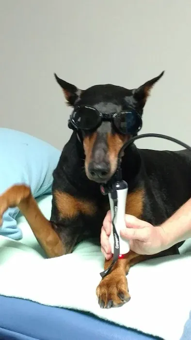 Four Paws Rehabilitation 2