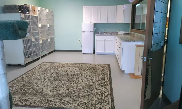 Isabella Cat Clinic 4