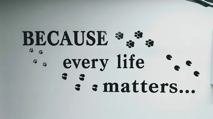 Isabella Cat Clinic 1