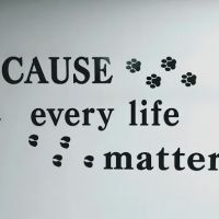 Isabella Cat Clinic ico