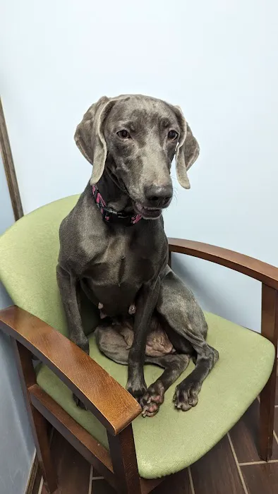 Healthy Acres Veterinary Clinic 2