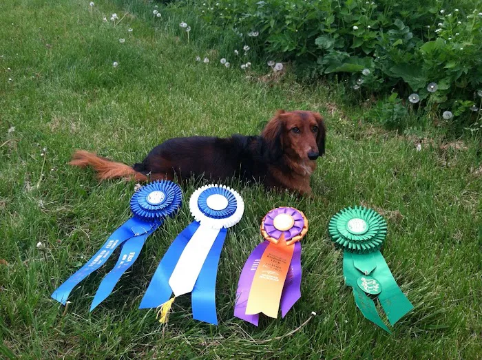 Healthy Acres Veterinary Clinic 6