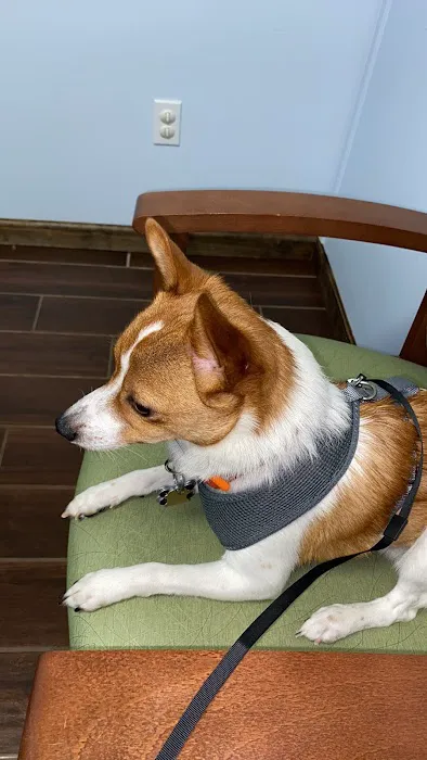 Healthy Acres Veterinary Clinic 7