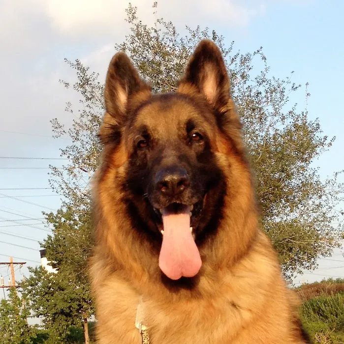 Clare Animal Hospital 5