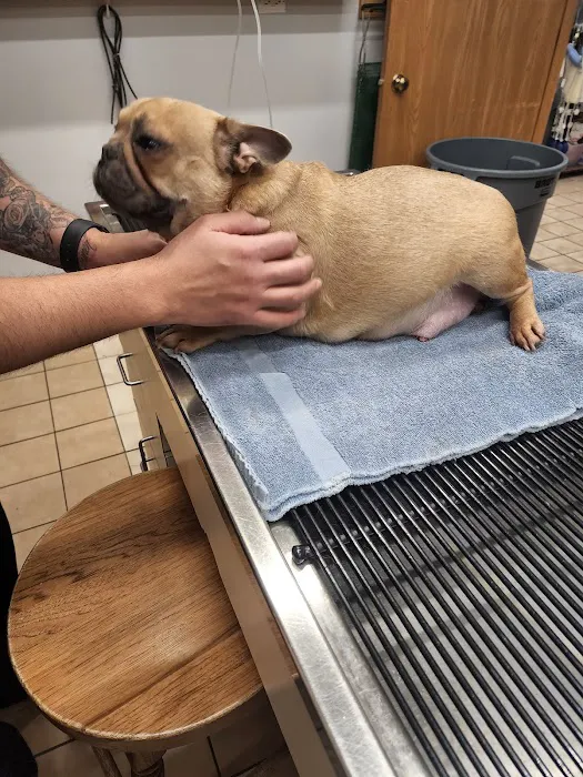 Fox Lake Animal Hospital 12
