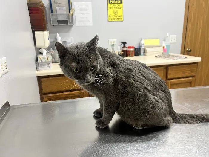 Fox Lake Animal Hospital 12