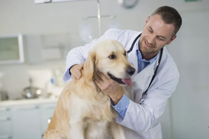 Fox Lake Animal Hospital 12