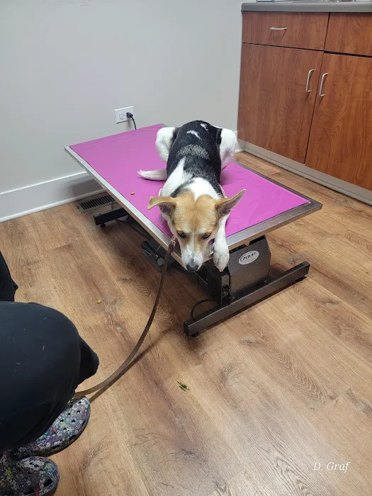Lakeview Veterinary Care 6