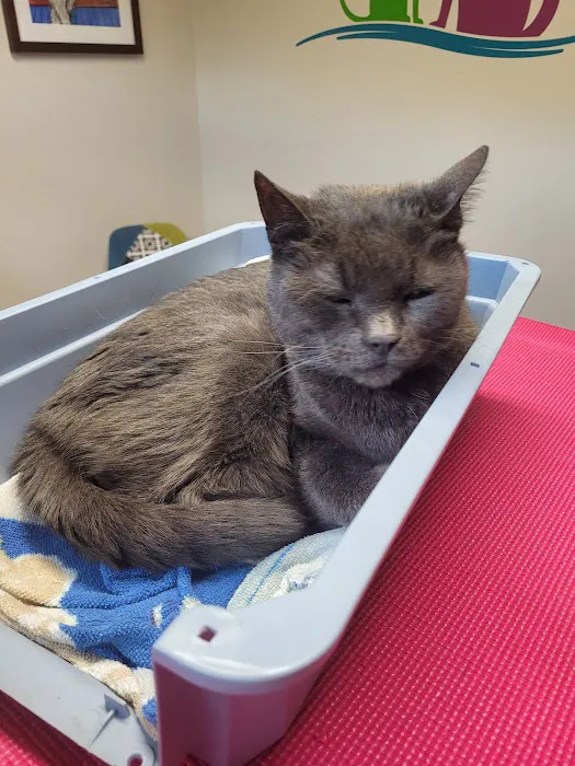 Lakeview Veterinary Care 9