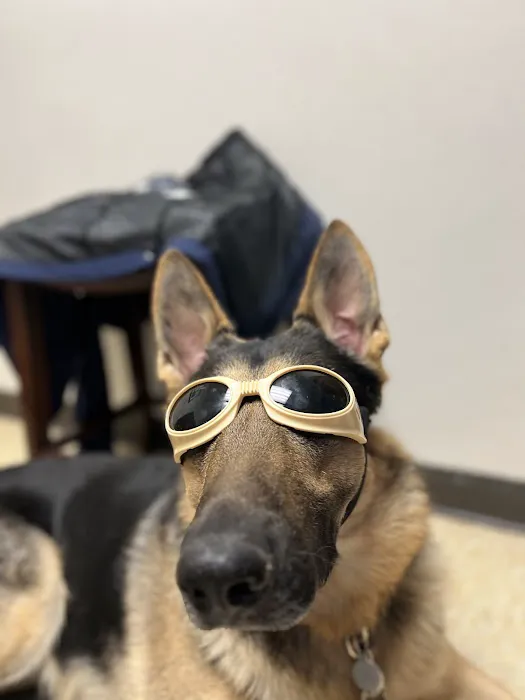 North Shore Animal Hospital 12