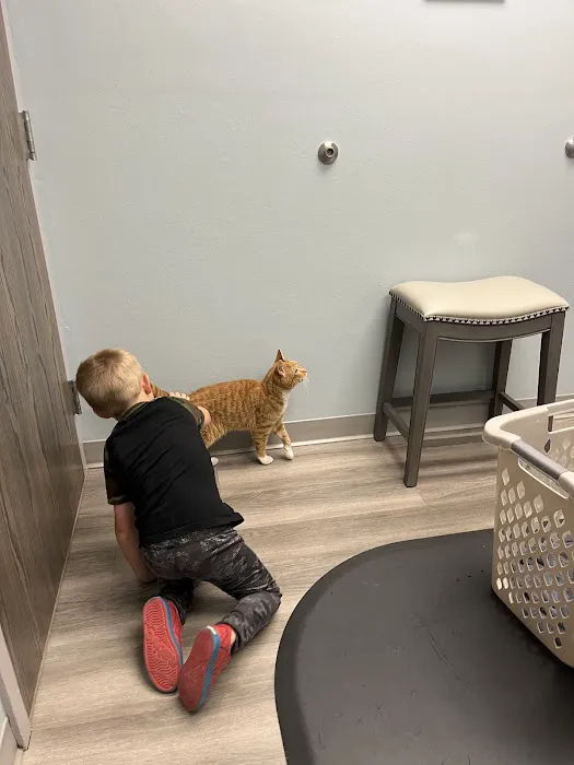 North Shore Animal Hospital 12