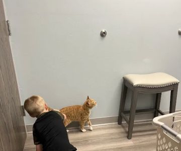 North Shore Animal Hospital