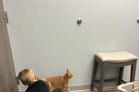 North Shore Animal Hospital