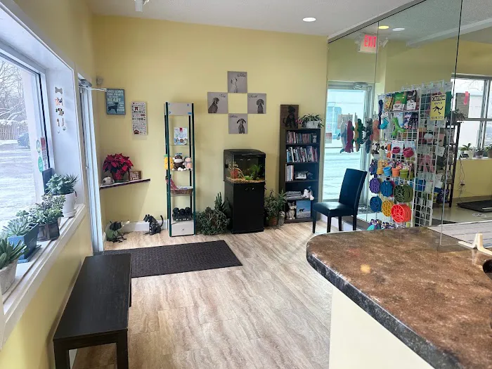 Canine Center 12